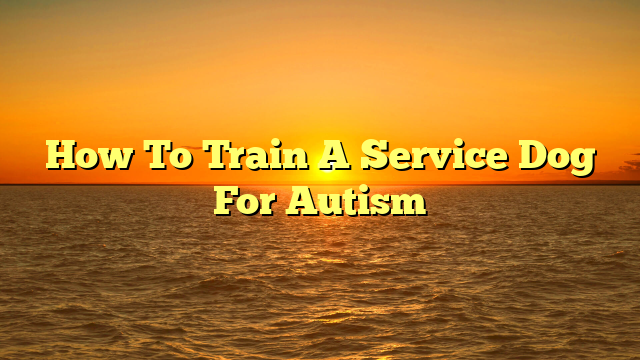 How To Train A Service Dog For Autism