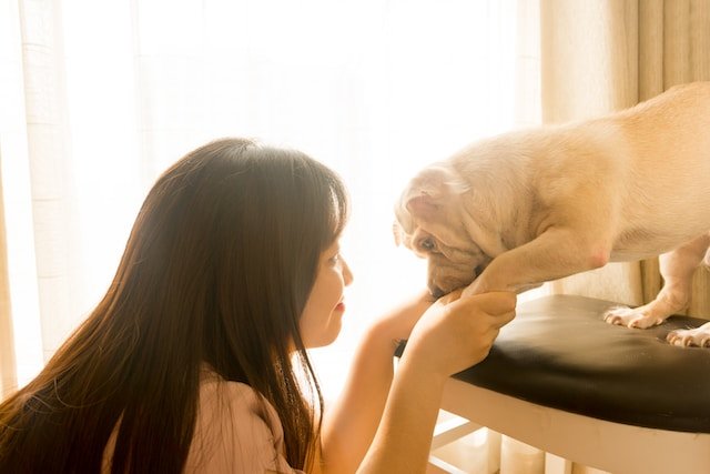 Pets Are A Great Way To Help Depression And Anxiety